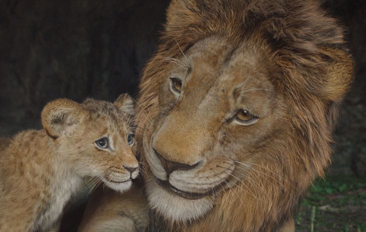 Barry Jenkins and the ‘Mufasa’ Cast Explain Why You Should Take Your Family to See