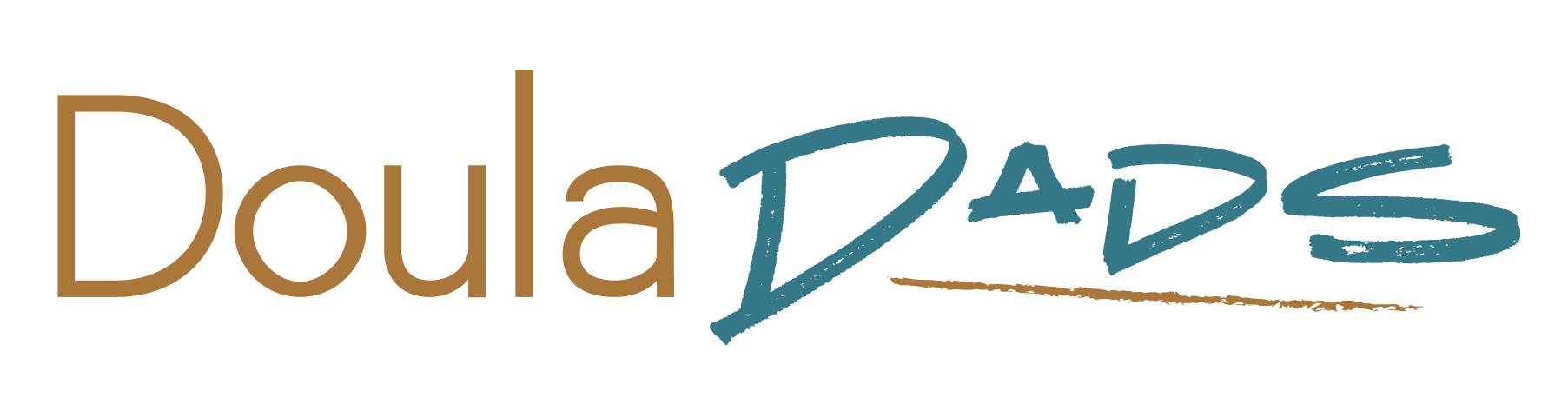 DD logo horizontal